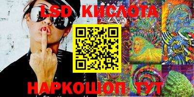 прущие грибы Краснознаменск