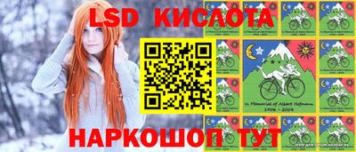 прущие грибы Краснознаменск