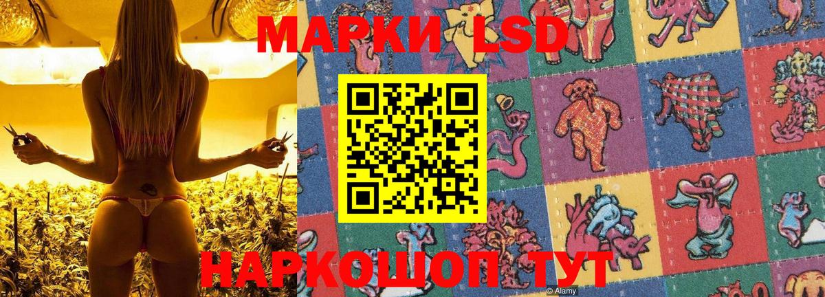 Марки NBOMe 1,5мг  Марки NBOMe 1,5мг  Вход с VPN  Клин 