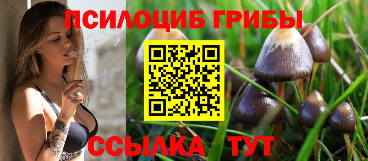 Клин  Псилоцибиновые грибы ЛСД  Вход с VPN 